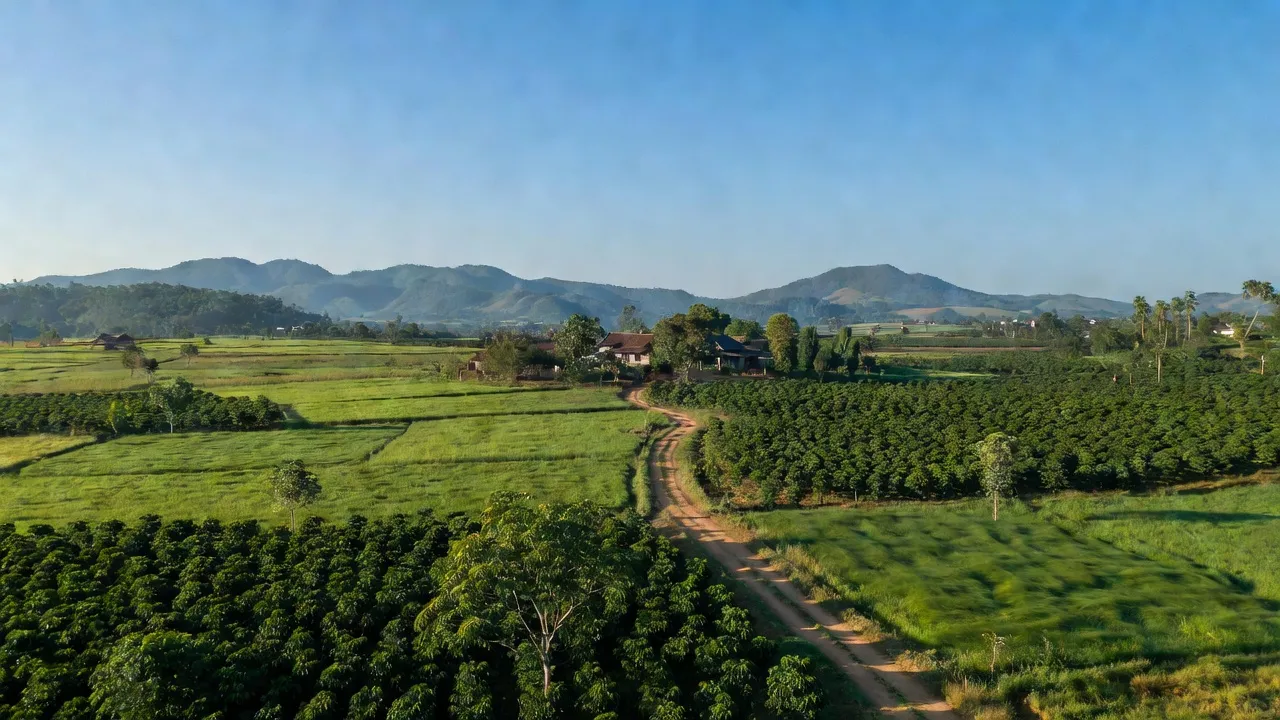 Khung cảnh làng Nghĩa Thắng, huyện Đắk R'Lấp, tỉnh Đắk Nông với cánh đồng xanh tươi và đồi xa.