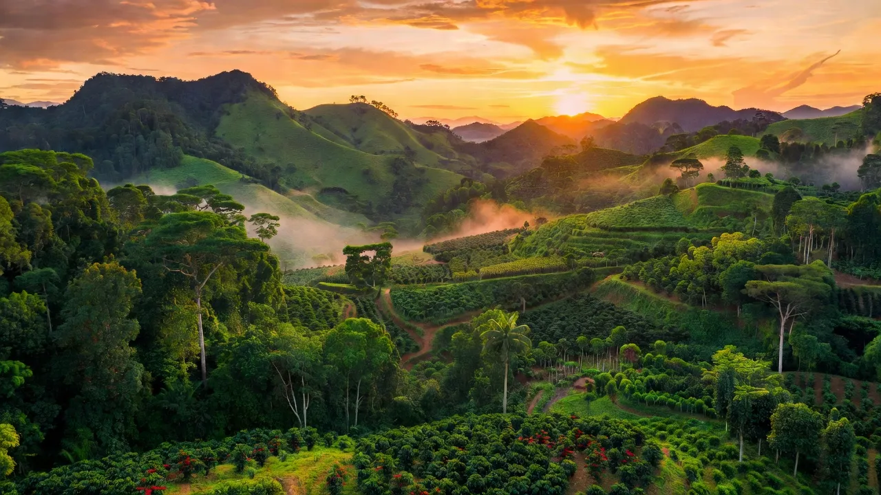 Huyện Tuy Đức, Tỉnh Đắk Nông - Giới thiệu quận huyện