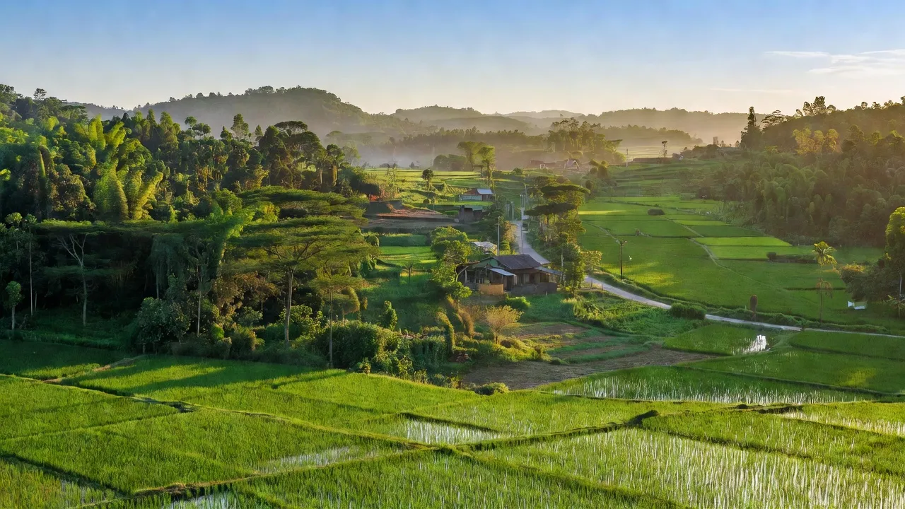 Cảnh đẹp huyện Cẩm Mỹ, Đồng Nai với cánh đồng xanh và đồi núi xa vời, thể hiện sự phát triển.