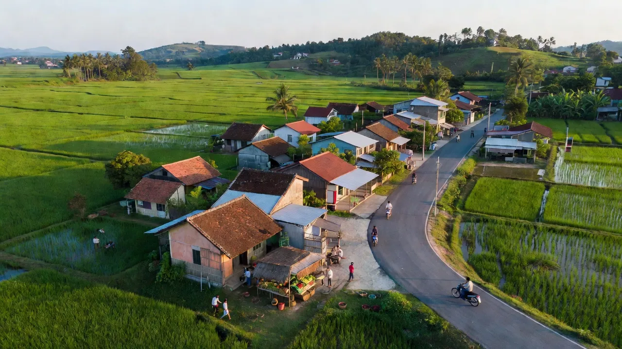 Khung cảnh xã Nhân Nghĩa, huyện Cẩm Mỹ, Đồng Nai với cánh đồng xanh và tuyến Hương lộ 10.