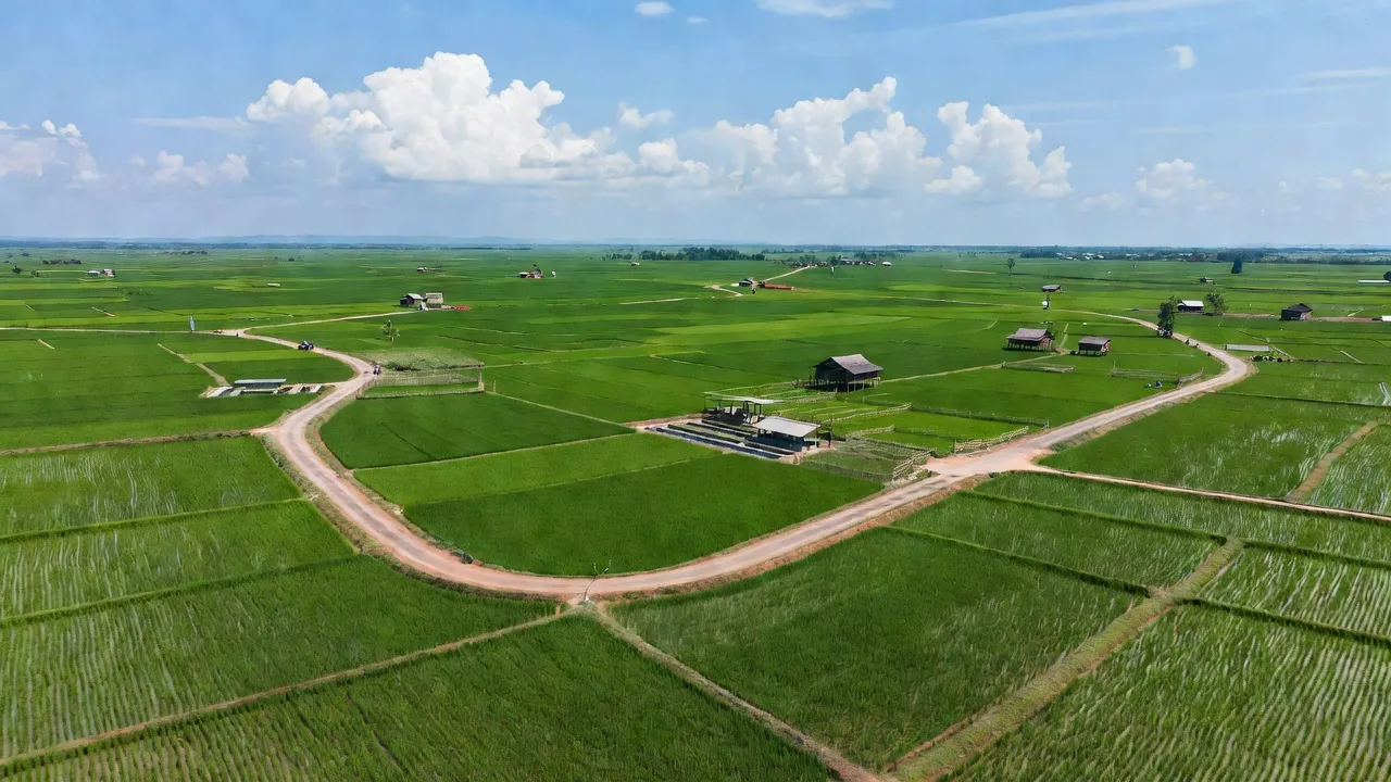 Cảnh quan xã Gia Canh, huyện Định Quán, tỉnh Đồng Nai với cánh đồng xanh mướt và đường nông thôn.