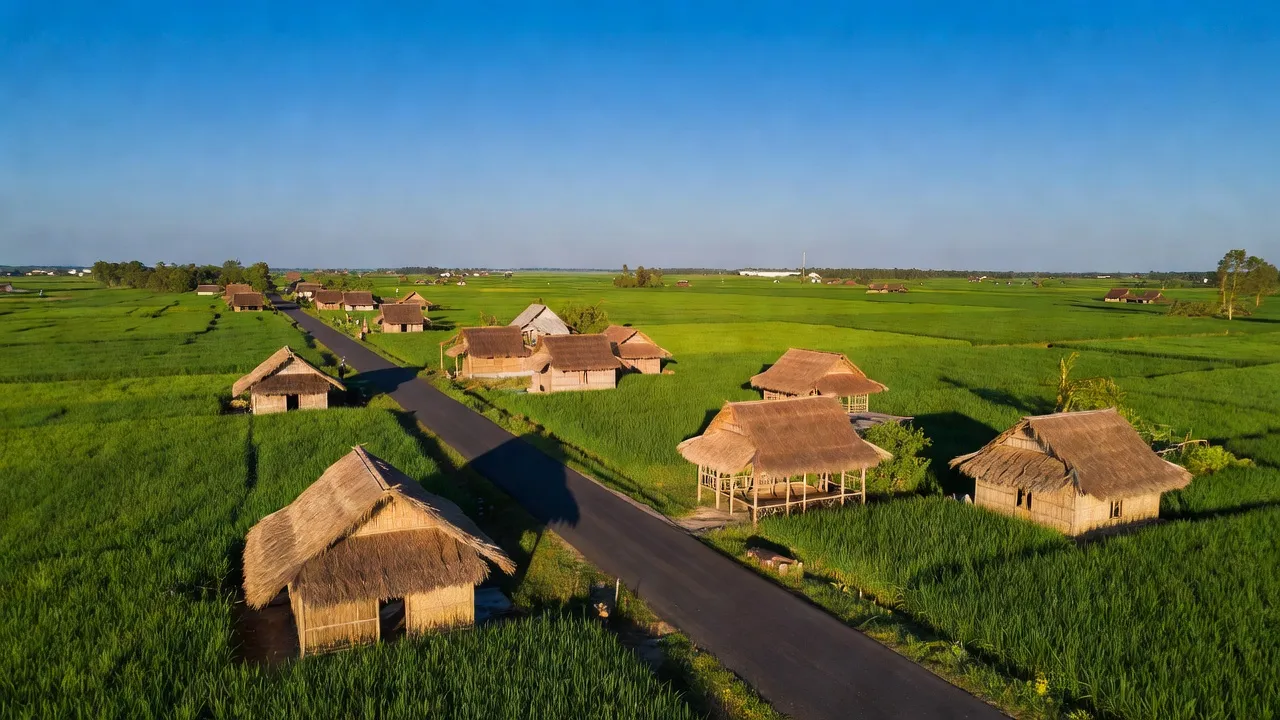 Cảnh nông thôn Phú Lợi, Đồng Nai với cánh đồng xanh và nhà người Chơro.