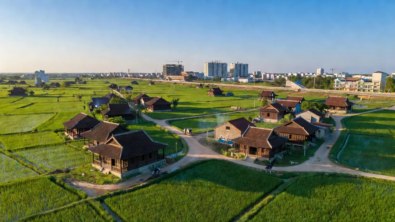 Cảnh đẹp xã Tam An, huyện Long Thành, tỉnh Đồng Nai với cánh đồng xanh và nhà truyền thống.
