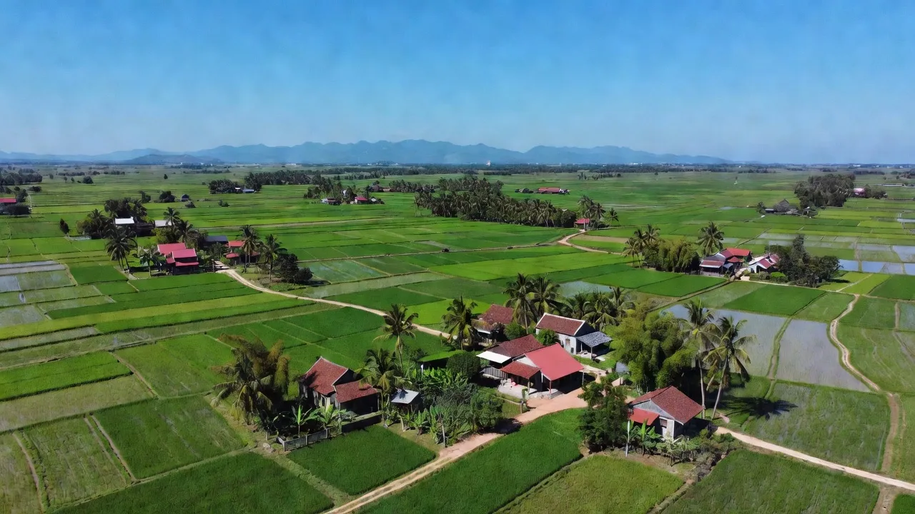 Khung cảnh làng Tân Hiệp tại huyện Long Thành, Đồng Nai với cánh đồng xanh và nhà truyền thống.
