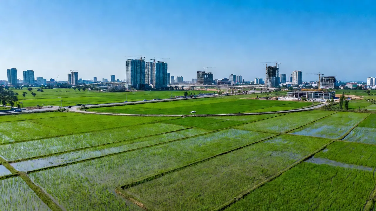 Xã Long Thọ, Huyện Nhơn Trạch, Tỉnh Đồng Nai