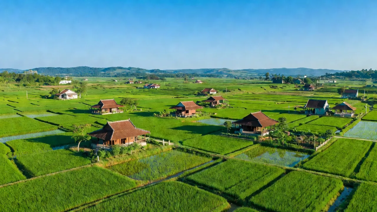 Khung cảnh Xã Vĩnh Thanh với cánh đồng xanh tươi, nhà truyền thống và bầu trời sáng, Nhơn Trạch.