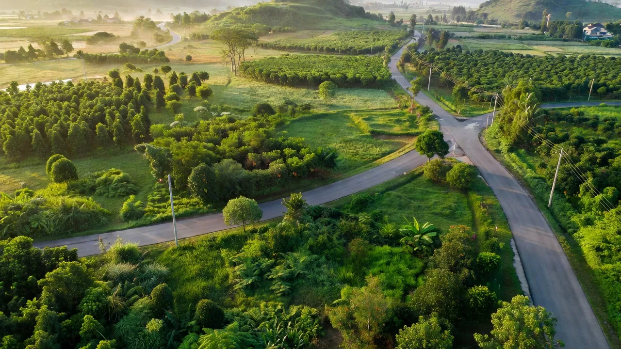 Khung cảnh thiên nhiên tại xã Hố Nai 3, huyện Trảng Bom, Đồng Nai, với cây cối và đường giao thông chính.