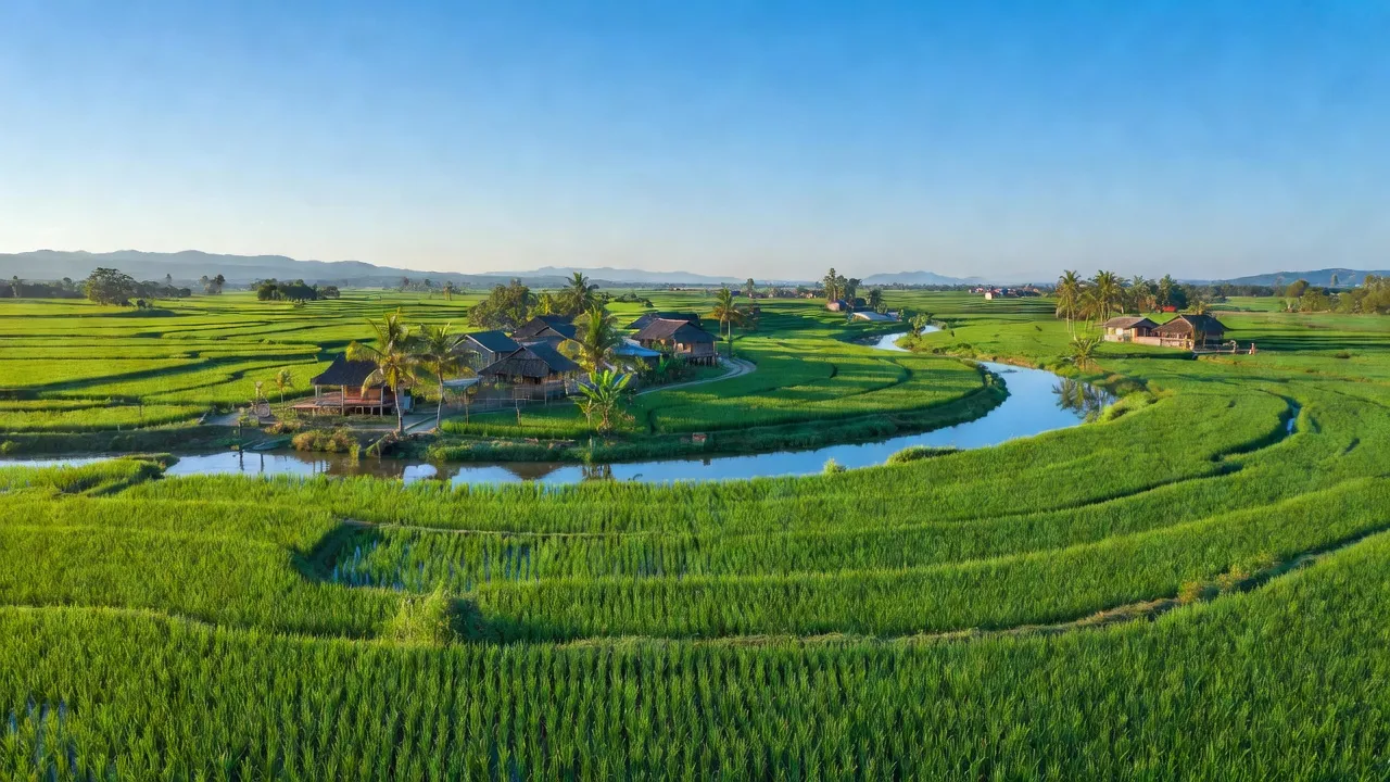 Cảnh sắc xã Sông Thao, huyện Trảng Bom, tỉnh Đồng Nai với cánh đồng xanh tươi và sông Thao.