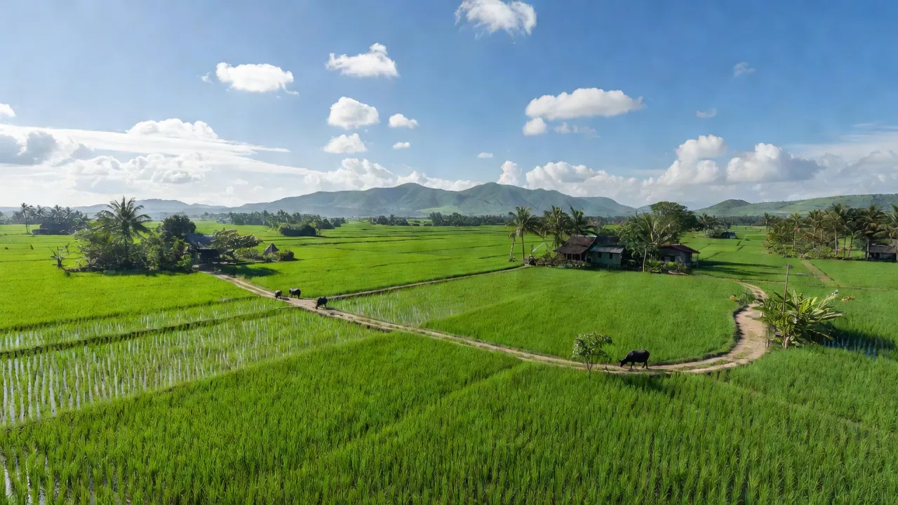 Huyện Xuân Lộc, Tỉnh Đồng Nai - Giới thiệu quận huyện