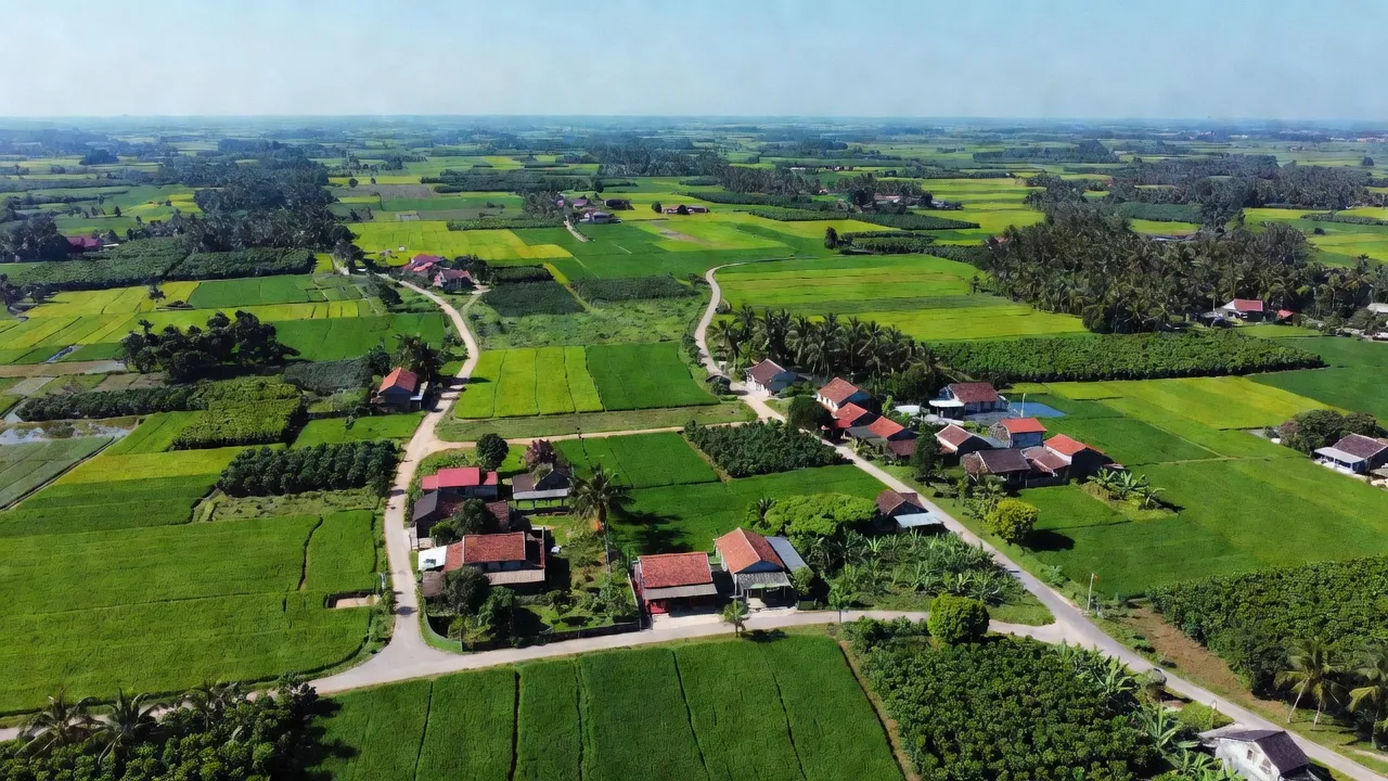 Xuân Hiệp, huyện Xuân Lộc, Đồng Nai với cánh đồng xanh mướt và đường giao thông nông thôn.