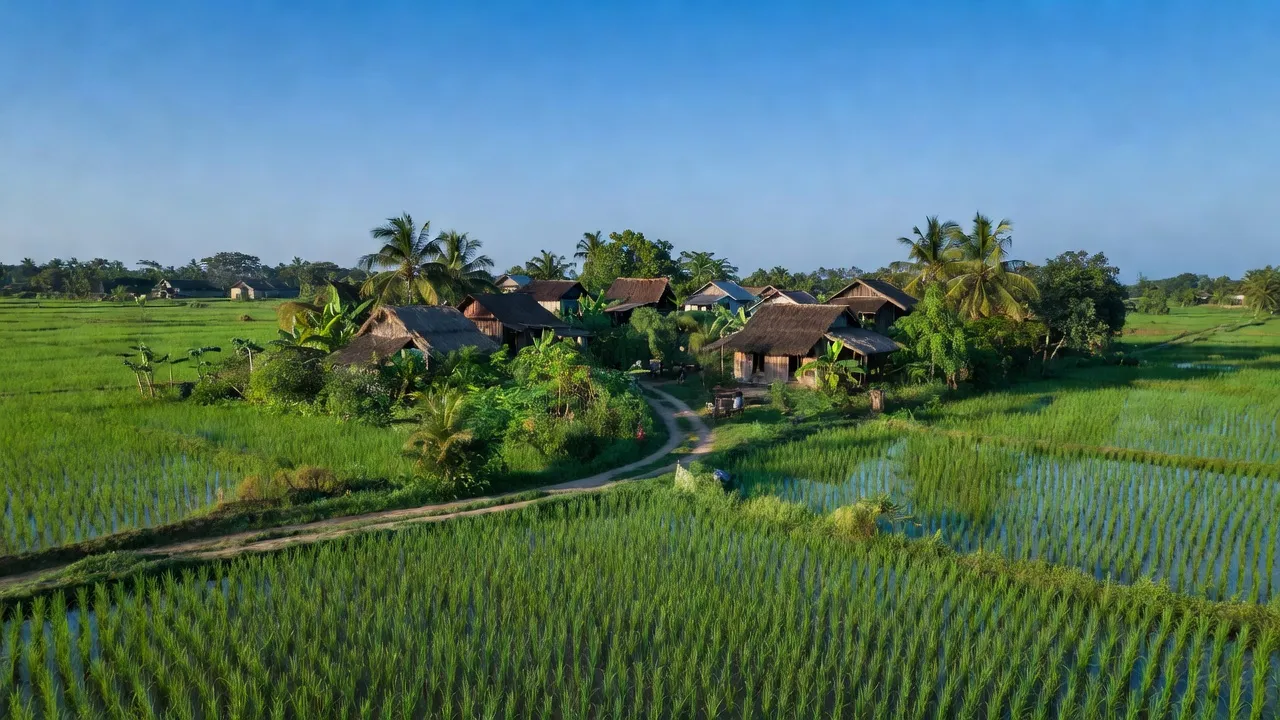 Bình Hàng Tây - hình ảnh minh họa 1