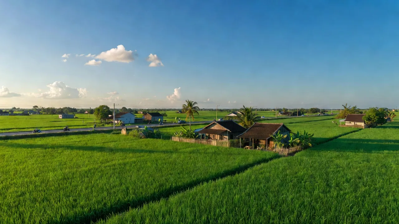 Quang cảnh xã Mỹ Long, huyện Cao Lãnh, tỉnh Đồng Tháp với cánh đồng xanh tươi và đường cao tốc.