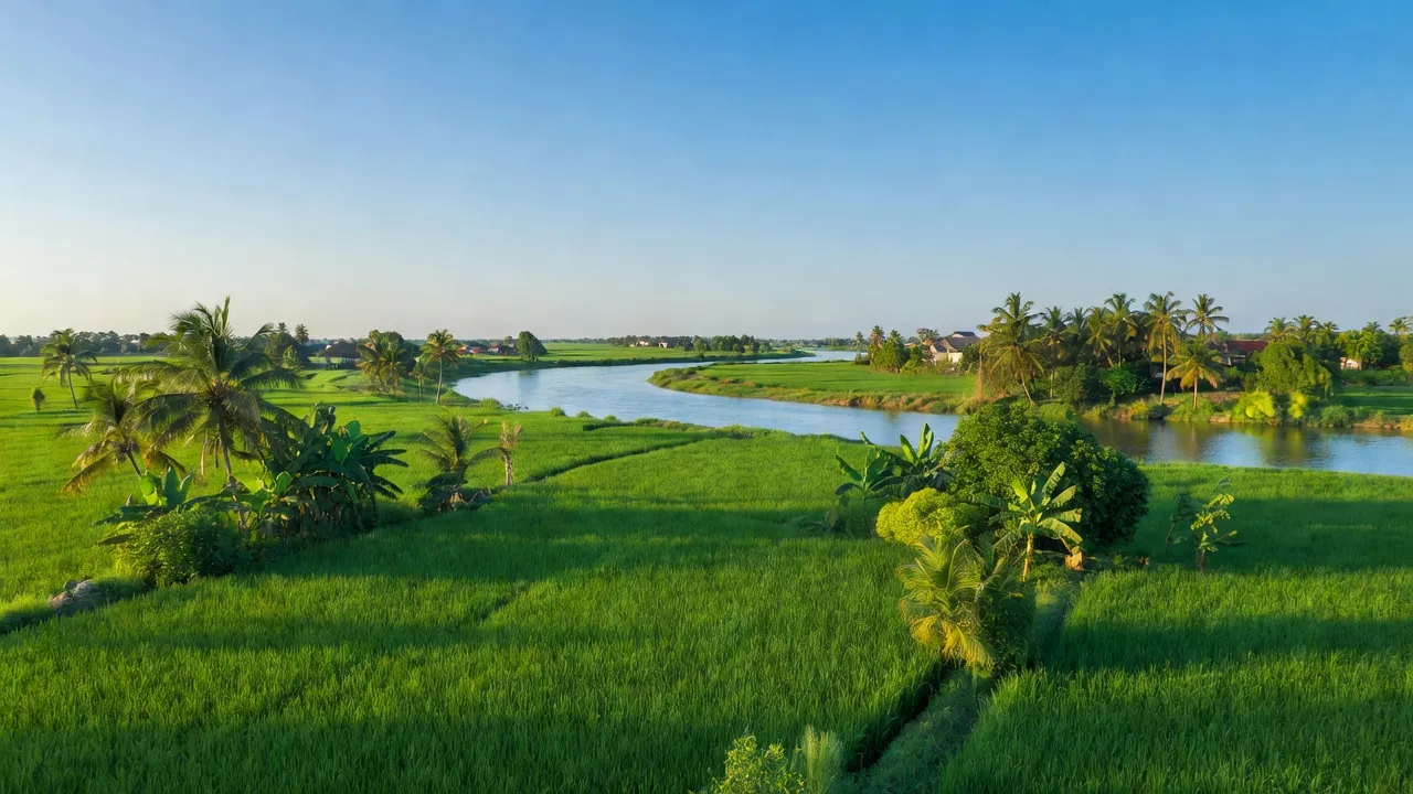Cảnh đẹp nông thôn xã Mỹ Tân, huyện Cao Lãnh, tỉnh Đồng Tháp với cánh đồng lúa và màu xanh của thiên nhiên.