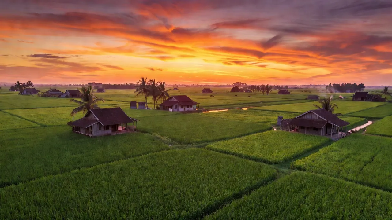 Xã Mỹ Trà, Huyện Cao Lãnh, Tỉnh Đồng Tháp