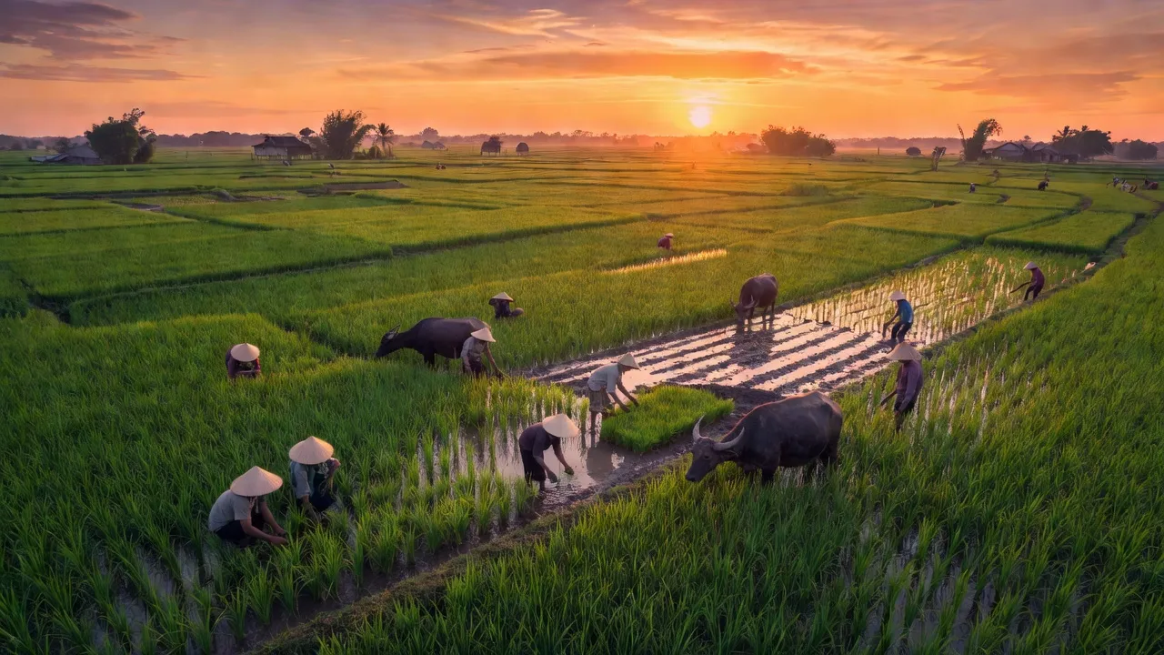 Xã Mỹ Xương, Huyện Cao Lãnh, Tỉnh Đồng Tháp