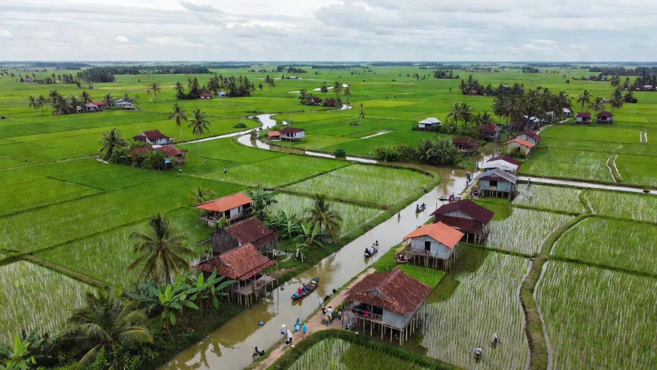 Nhị Mỹ, Cao Lãnh, Đồng Tháp with green rice fields and waterways, showcasing local life.