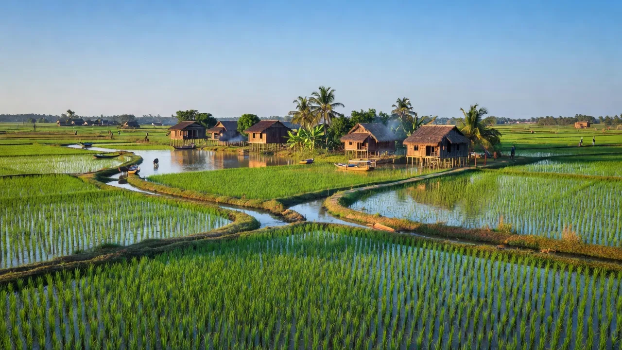Cảnh quan yên bình tại xã Tân Nhuận Đông, huyện Châu Thành, tỉnh Đồng Tháp với ruộng lúa và nhà truyền thống.