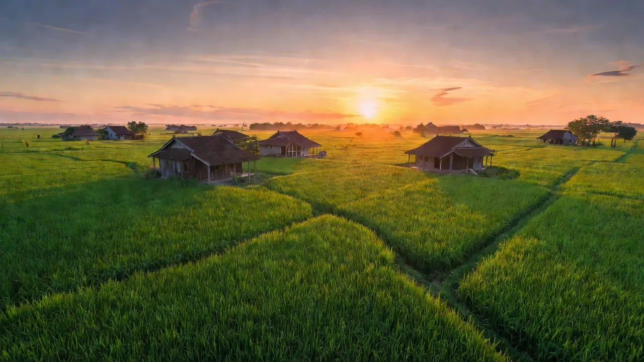 Xã Tân Phú Trung, Huyện Châu Thành, Tỉnh Đồng Tháp