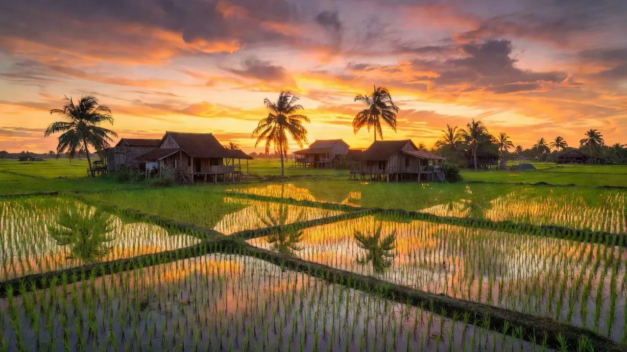 Phường An Bình B, Huyện Hồng Ngự, Tỉnh Đồng Tháp