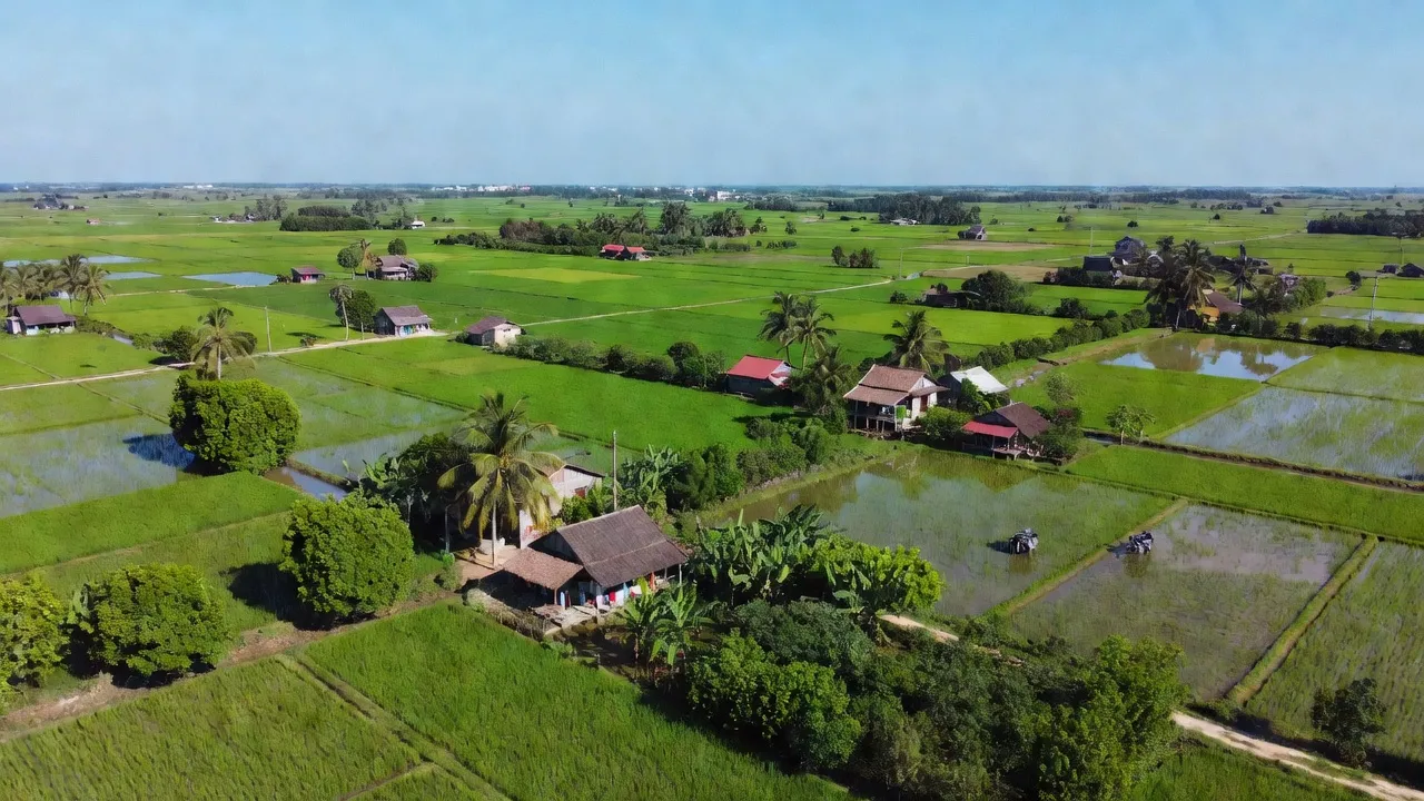 Cảnh đồng nguyên ở xã Hòa Thành, huyện Lai Vung, Đồng Tháp, với ánh nắng và bầu trời trong xanh.