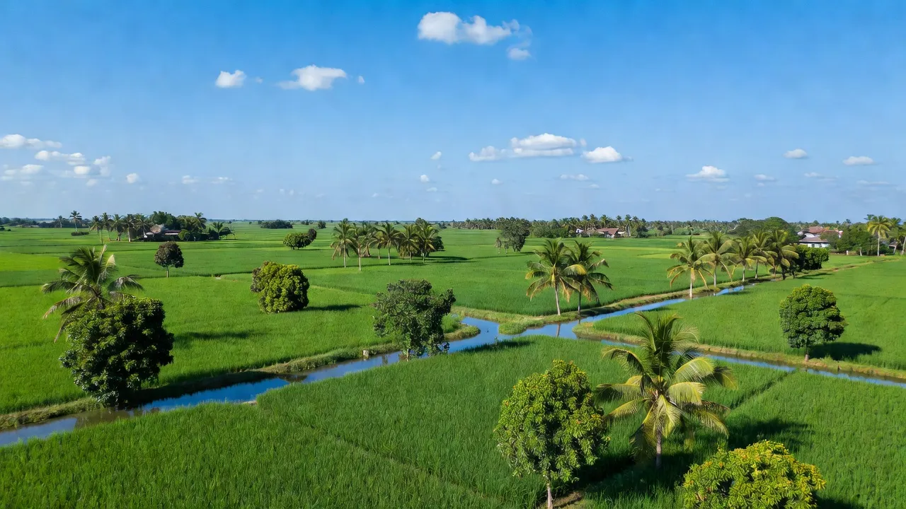 Xã Bình Thạnh Trung, Huyện Lấp Vò, Tỉnh Đồng Tháp