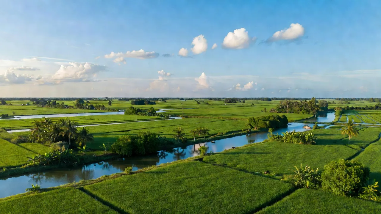 Cảnh đẹp xã Phú Thành A, huyện Tam Nông, tỉnh Đồng Tháp với ruộng xanh và sông nước.