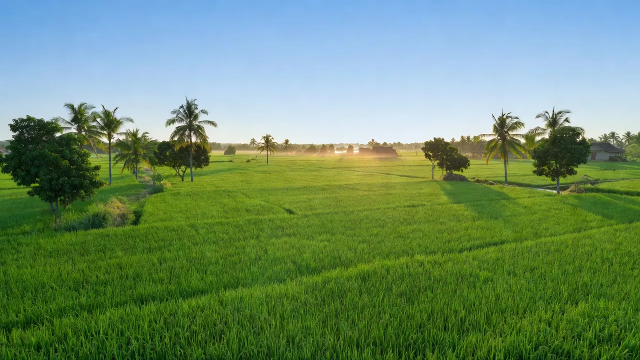 Tân Phước - hình ảnh minh họa 1