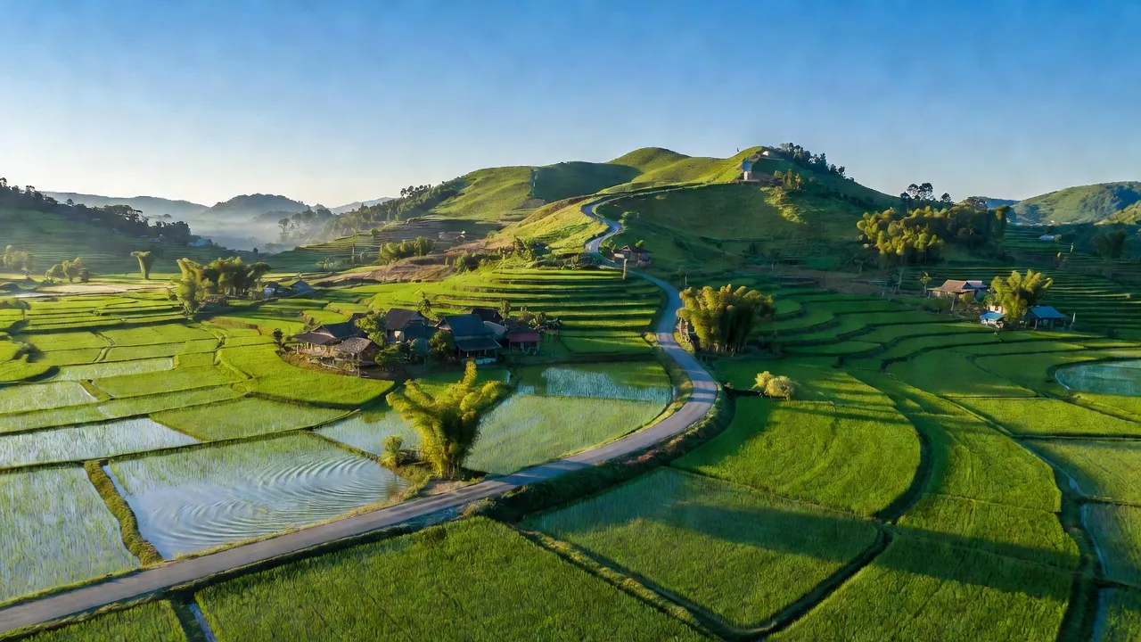 Khung cảnh xã Xuân An, Thị xã An Khê, tỉnh Gia Lai với cánh đồng xanh tươi và đường Tỉnh lộ 669.
