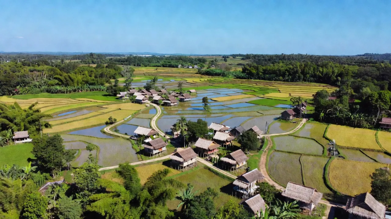 Khung cảnh làng Al Bá, huyện Chư Sê, tỉnh Gia Lai với cánh đồng và nhà truyền thống.