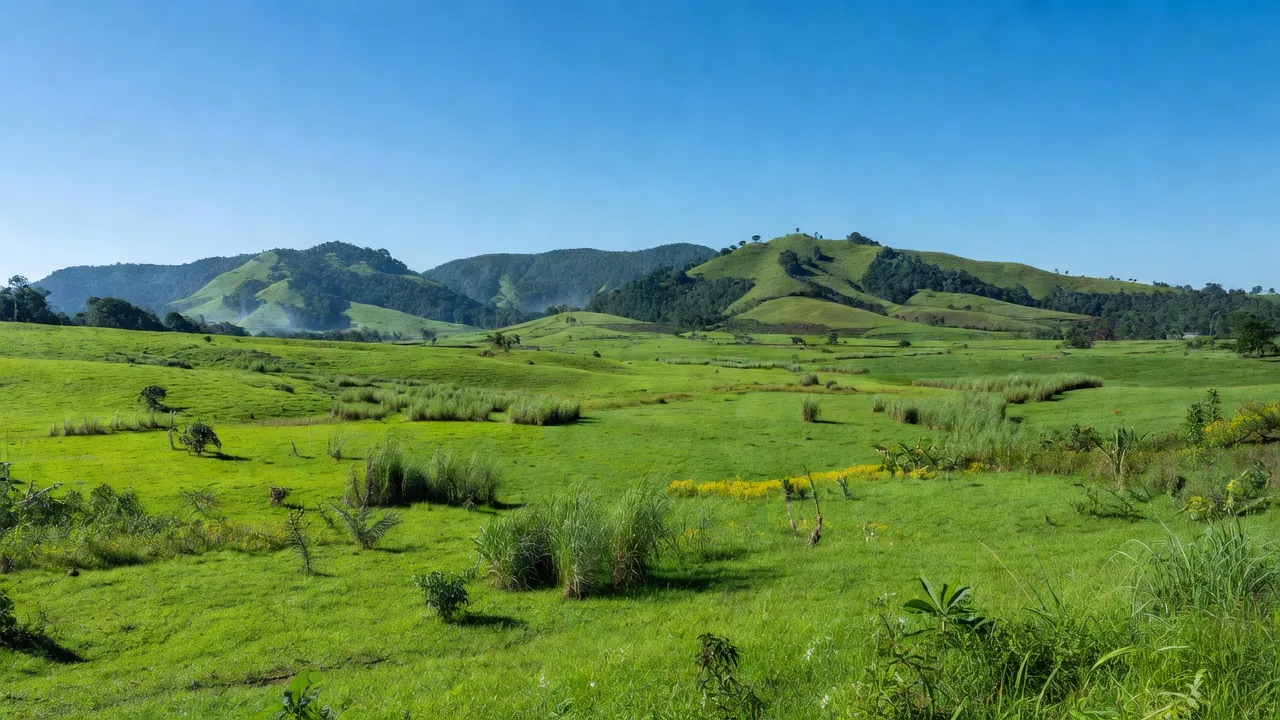 Xã Phú An, Huyện Đăk Pơ, Tỉnh Gia Lai