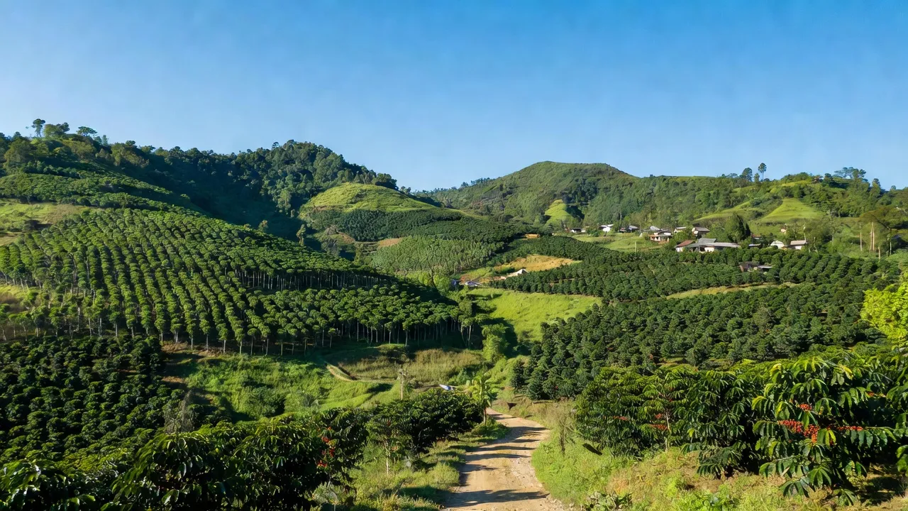 Khung cảnh xã Ia Khai, huyện Ia Grai, Gia Lai với đồi núi và ruộng cà phê, cao su.