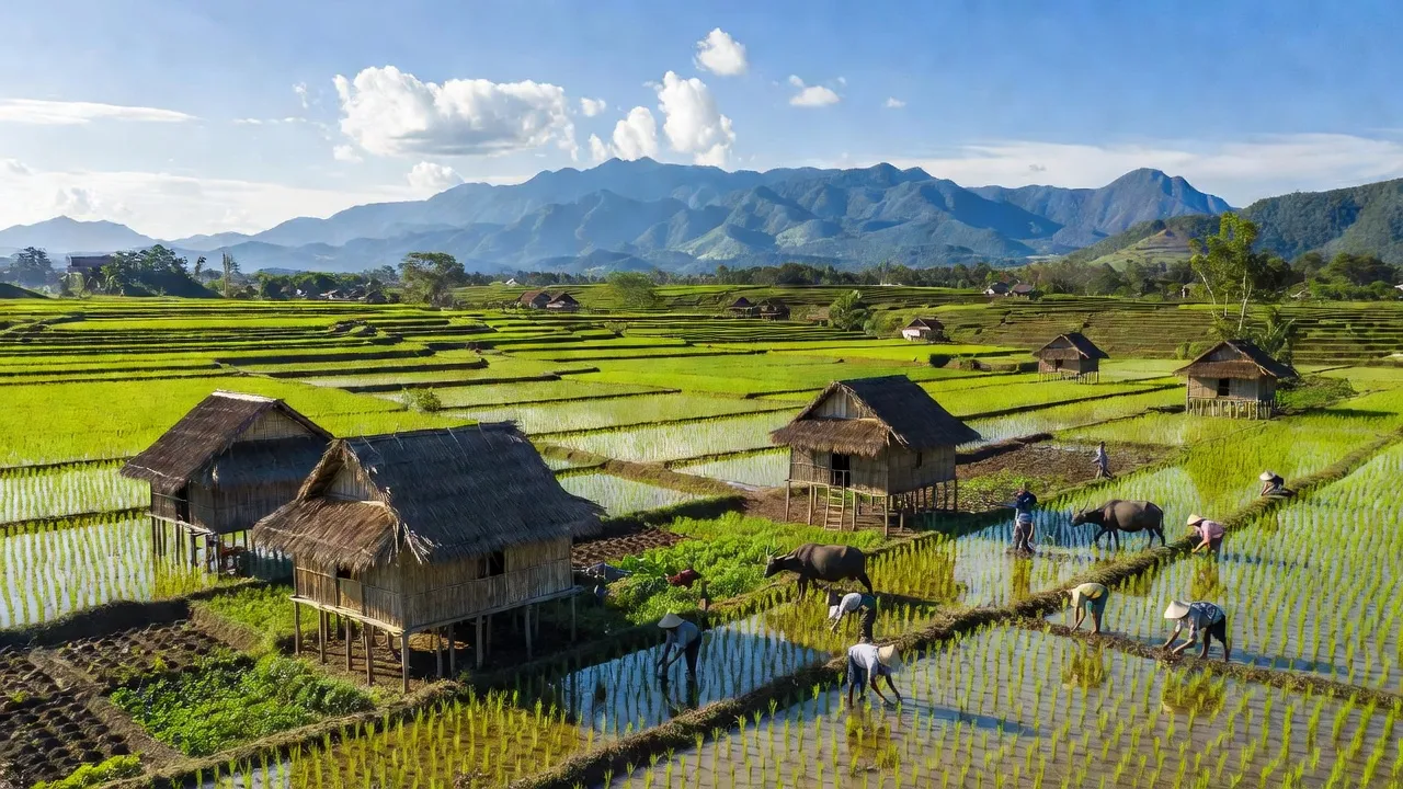 Xã Đăk Song, Huyện Kông Chro, Tỉnh Gia Lai