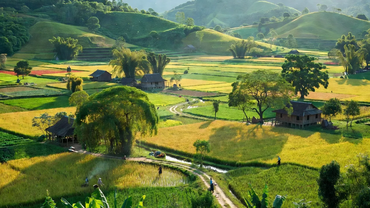 Phong cảnh thiên nhiên xã Kon Chiêng huyện Mang Yang Gia Lai với núi đồi xanh tươi và cánh đồng.
