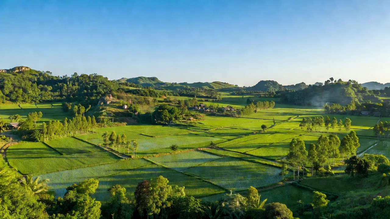 Cảnh đẹp Chrôh Pơnan, Phú Thiện, Gia Lai với cánh đồng và đồi núi xanh tươi.