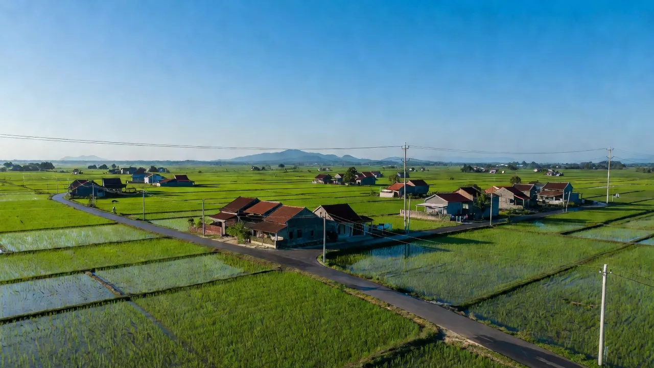 Xã Liêm Phong, Huyện Thanh Liêm, Tỉnh Hà Nam