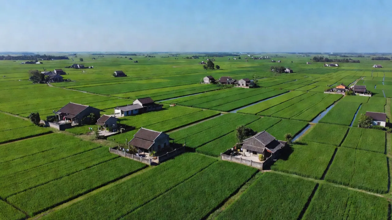 Hoàng Diệu - hình ảnh minh họa 1