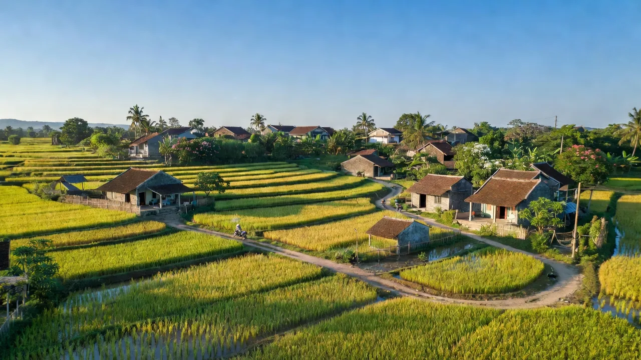 Cảnh quan xã Tân Tiến, huyện Chương Mỹ, với cánh đồng lúa và nhà dân, bầu trời trong xanh.