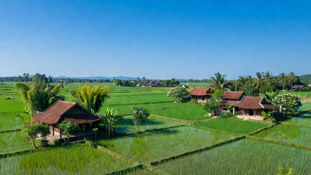 Khung cảnh xã Kim Chung, huyện Đông Anh, Hà Nội với cánh đồng xanh và nhà truyền thống.