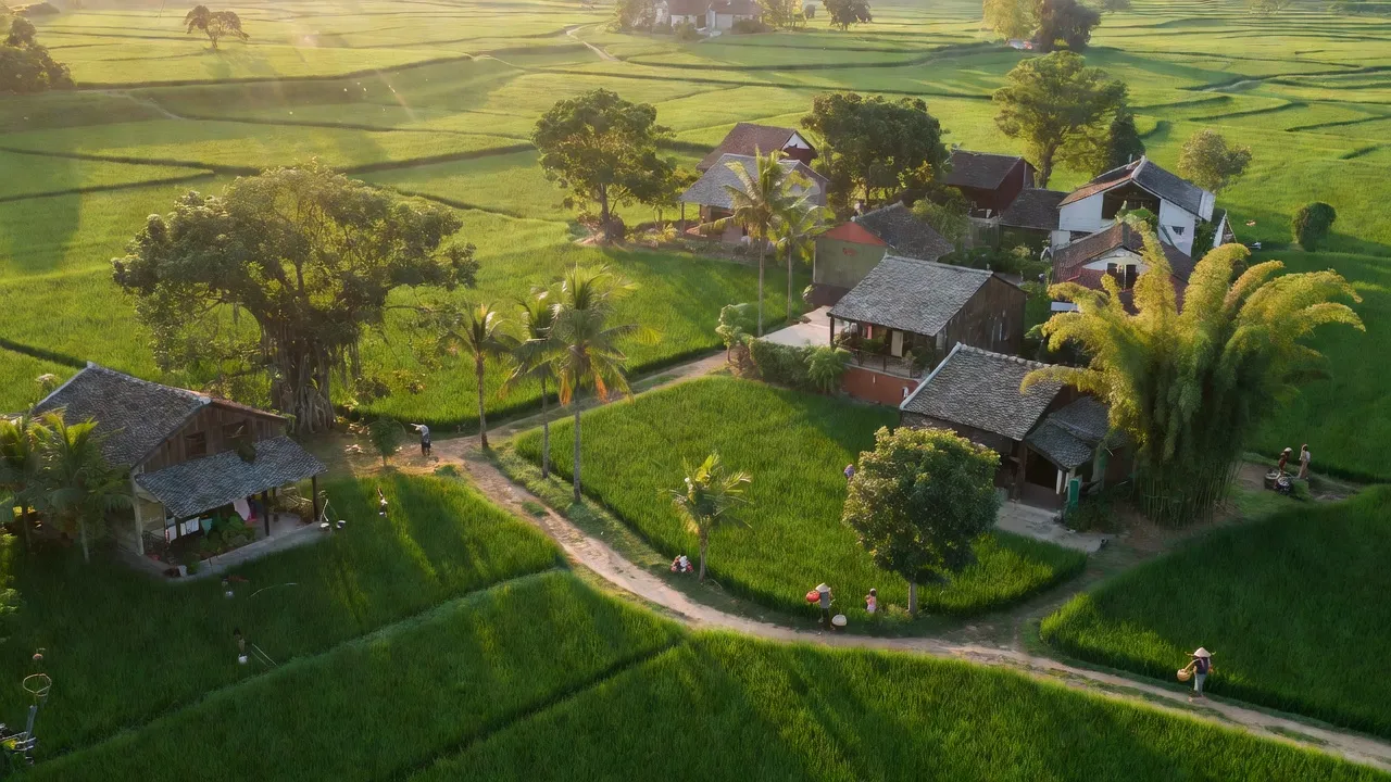 Khung cảnh tuyệt đẹp của xã Uy Nỗ, huyện Đông Anh, Hà Nội với cánh đồng và nhà mình.