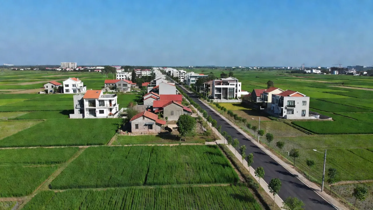 Tiền Phong - hình ảnh minh họa 1