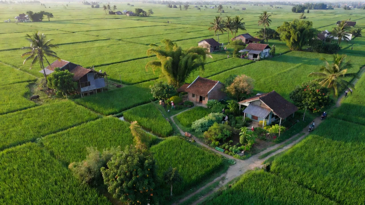 Cảnh đồng bằng xã Phù Lưu Tế, huyện Mỹ Đức, Hà Nội với cánh đồng xanh và cây cối.