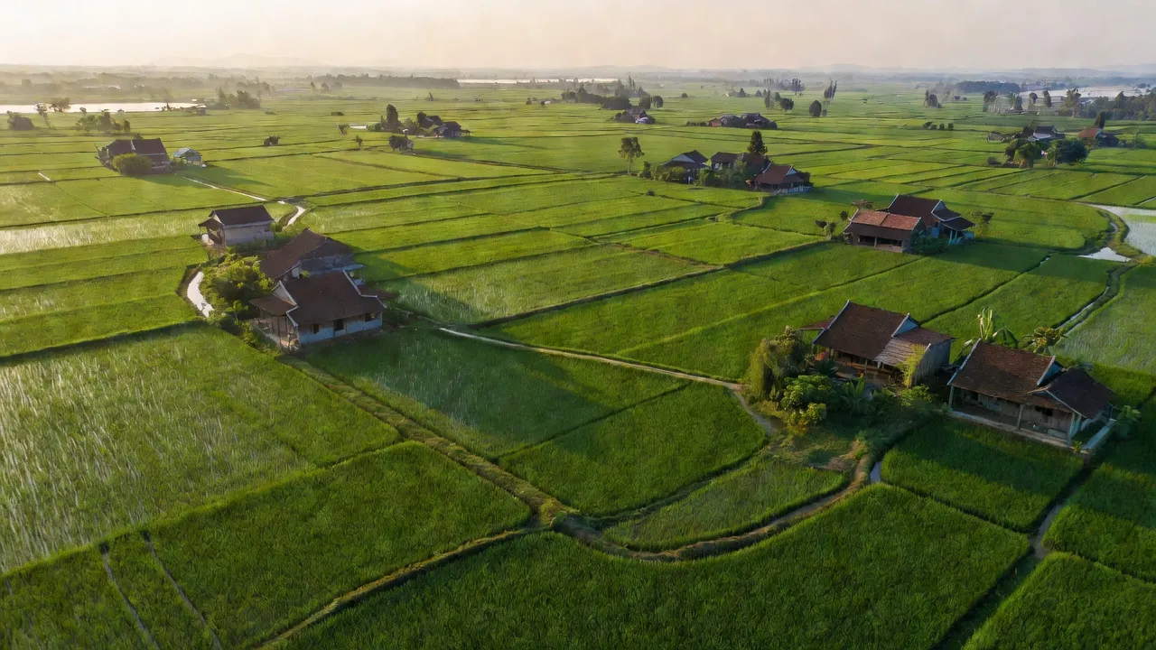 Hồng Minh - hình ảnh minh họa 1