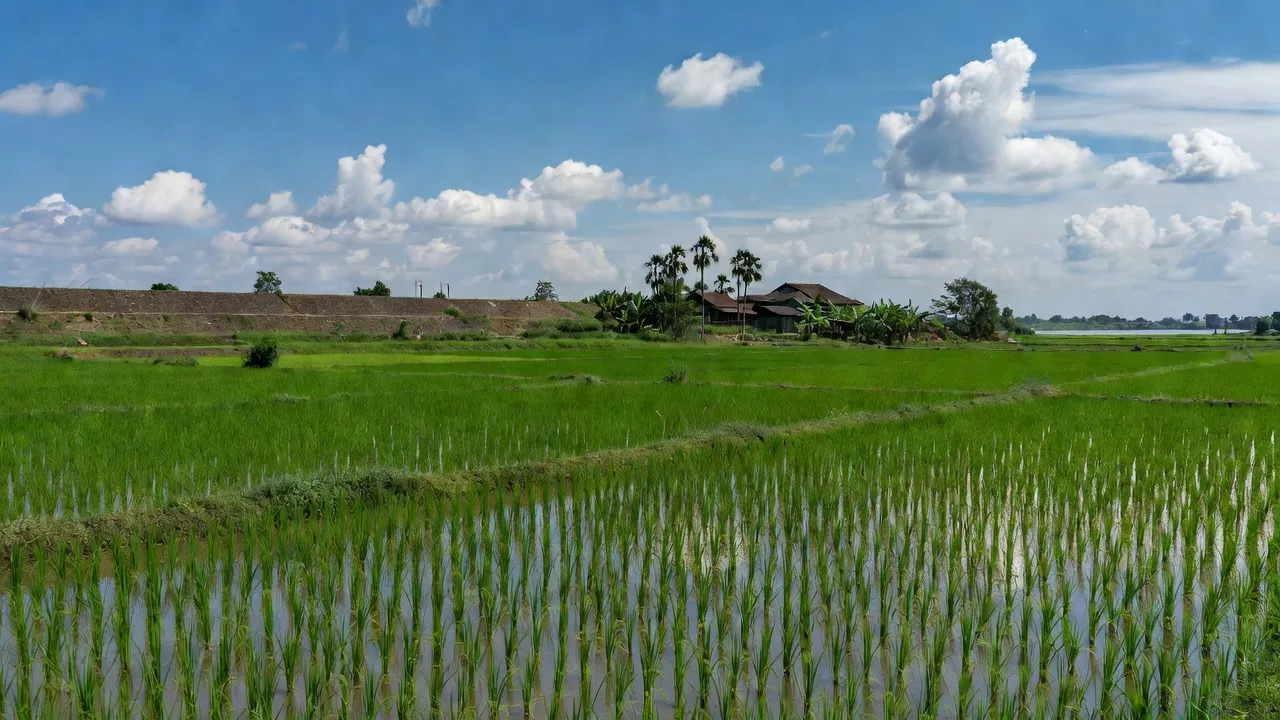 Khung cảnh xã Quang Lãng, huyện Phú Xuyên, Hà Nội với đồng ruộng và đê sông Hồng.