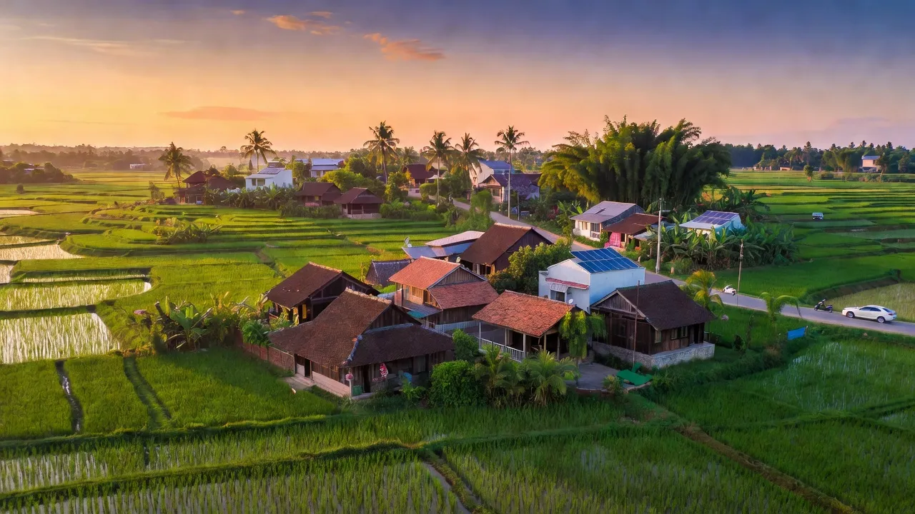 Khung cảnh làng Tam Hiệp, huyện Phúc Thọ, Hà Nội với cánh đồng lúa và nhà truyền thống.