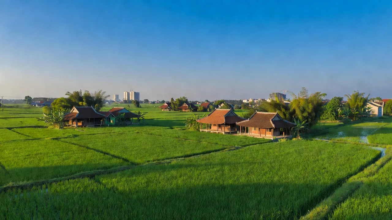 Xã Thanh Mỹ, Thị xã Sơn Tây, Thành phố Hà Nội
