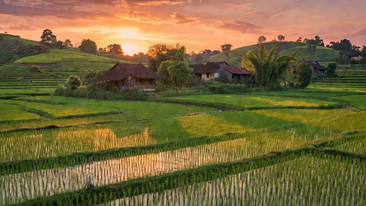 Cảnh đẹp nông thôn xã Cao Viên, Huyện Thanh Oai, Hà Nội với cánh đồng xanh và nhà truyền thống.