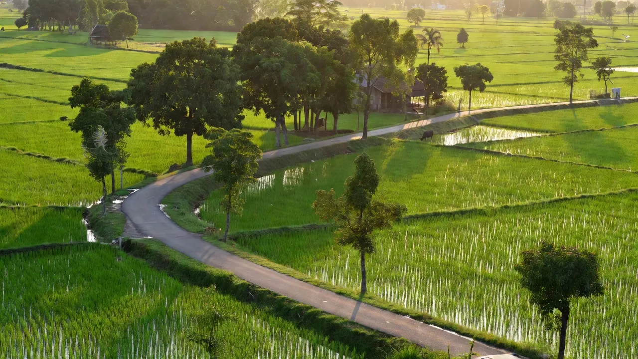 Cảnh đẹp thiên nhiên Xã Cự Khê, huyện Thanh Oai, Hà Nội với cánh đồng và cây xanh.