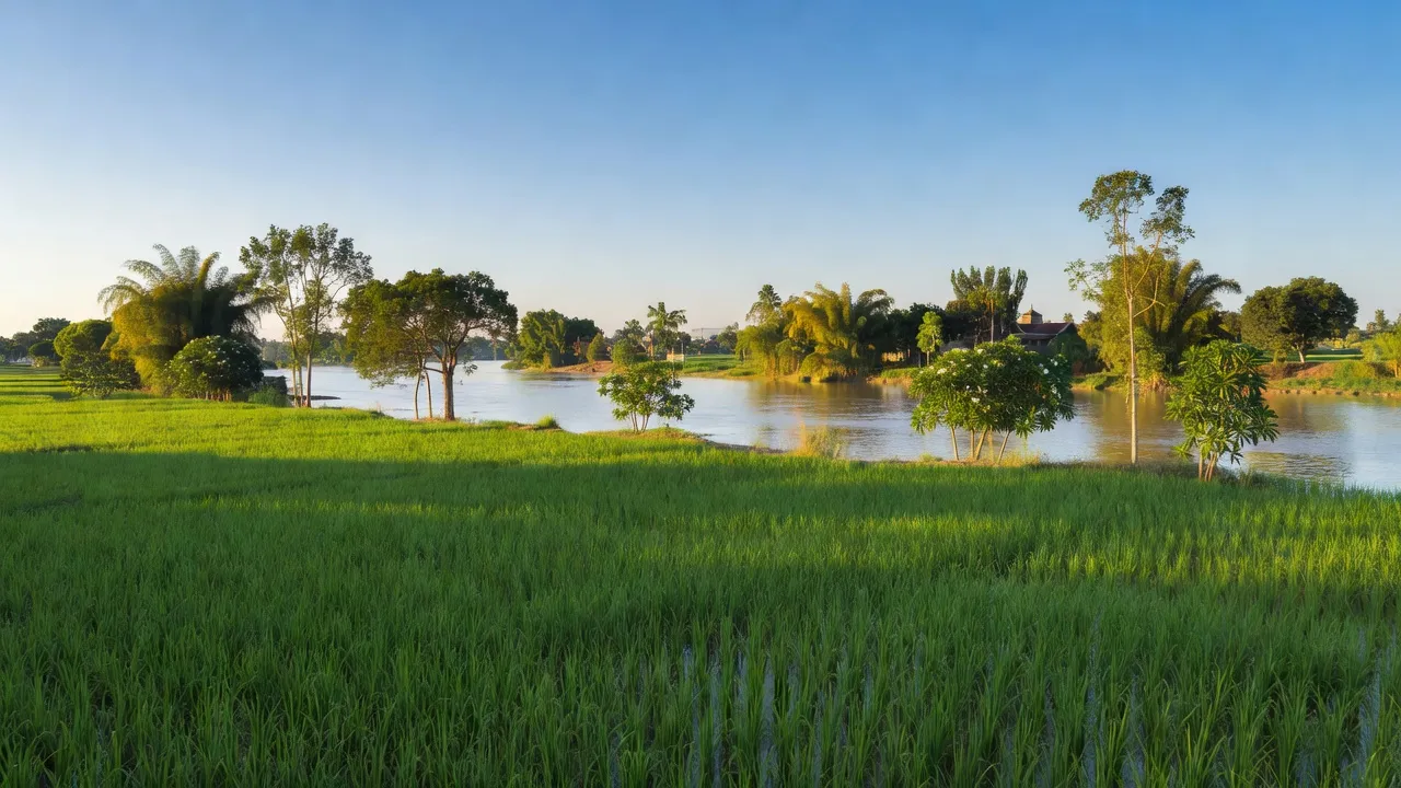 Cảnh đẹp xã Duyên Hà, huyện Thanh Trì, Hà Nội với cánh đồng và sông Hồng thanh bình.