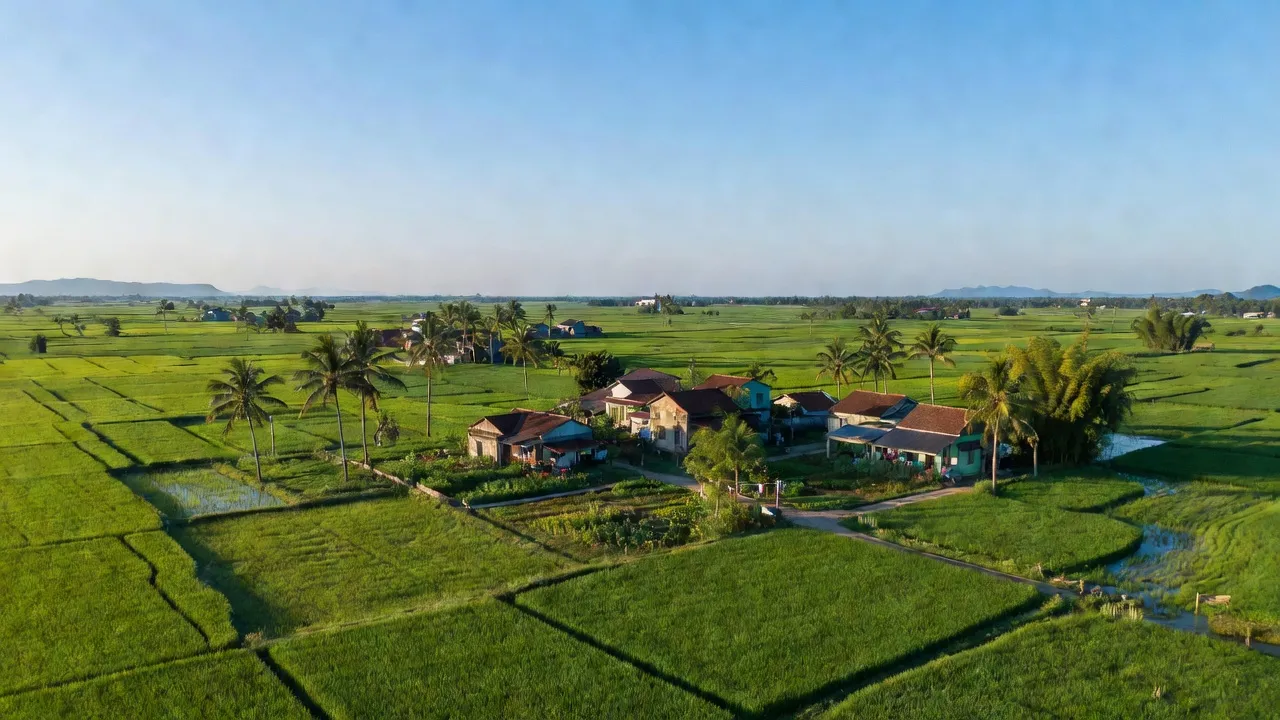 Cảnh đồng quê xã Đại Cường, huyện Ứng Hòa, Hà Nội với không gian nông nghiệp tươi đẹp.