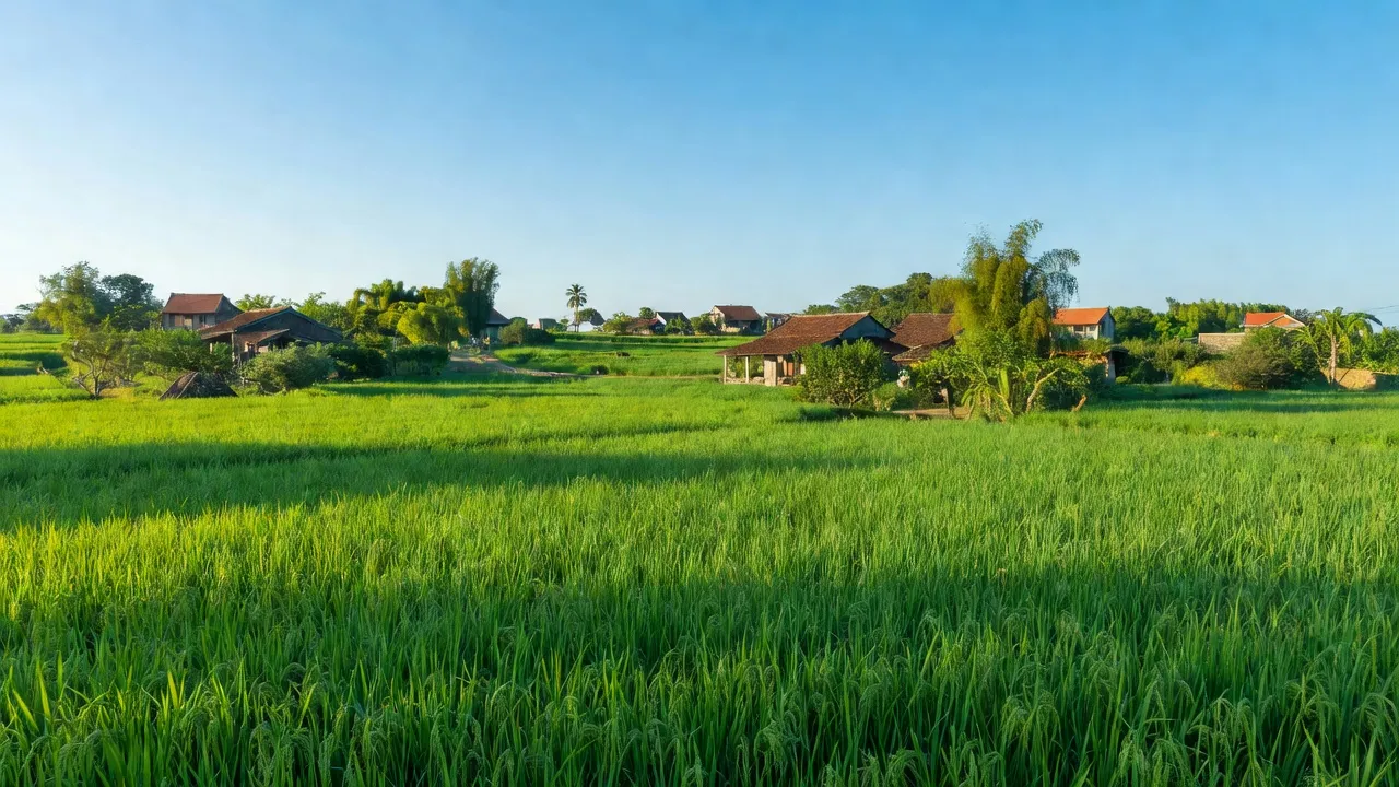 Cảnh nông thôn xã Đại Cường, huyện Ứng Hòa, Hà Nội với cánh đồng và khu dân cư.